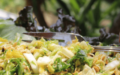 Napa Cabbage Salad Recipe – A Refreshing Twist