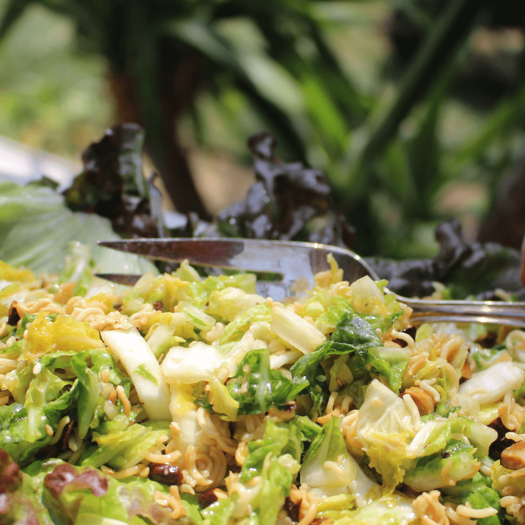 Napa Cabbage Salad with a fork in it